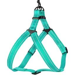 Шлея для собак Barksi Active світловідбивна (обхват грудей 58-71 см ширина 2.5 см) ментолова