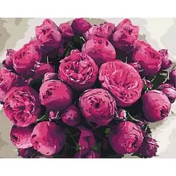 Картина по номерам Загадочные пионы 40х50 см 13102-AC