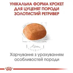 Сухий корм для цуценят породи Золотистий Ретрівер Royal Canin Golden Retriever Puppy, 12 кг (39791201) - мініатюра 3