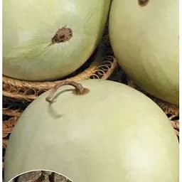 Насіння Весна на вагу Кавун Цільнолистий ціна за 5 г (22389)