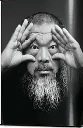 Ai Weiwei - мініатюра 2