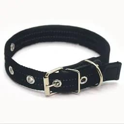 Нашийник для собак Zoo-hunt брезентовий світловідбиваючий чорний ОБ світл. 2,0/30-40 см