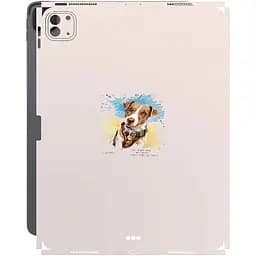 Захисна плівка StatusSKIN для Apple iPad pro 11 2020, 2021, 2022 Корпус Вініл Патрон 1