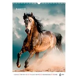 Календар настінний Axent А3 Horses 2026 рік (8804-26-3-A) - мініатюра 7