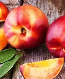 Саджанець Agro-Market Нектарин Фентезі (лисий персик, осінній сорт, пізній термін дозрівання) 1 шт. в упаковці (21367)