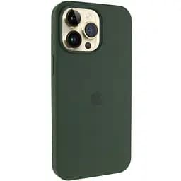 Чехол Silicone Case AA Logo with MagSafe для Apple iPhone 12 Pro Max 6.7 Зеленый/Cyprus Green