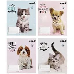 Набор тетрадей Kite Rachael Hale 12 листов в косую линию 25 шт. (R25-235)