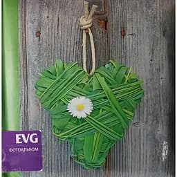 Фотоальбом EVG 20sheet Infinity, S32х29 см, 20 аркушів (20sheet S29x32 Infinity)