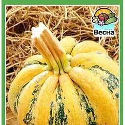 Семена Весна на развес Тыква Тонда Цена за 10 г (184217)