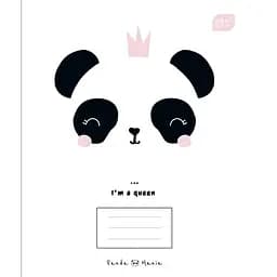 Набор тетрадей Interdruk Premium Mix ученических 2 линия А5+ 12 листов 4 шт. (339447-4)