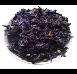 Мальва мавританська Квіти Калачики Malva mauritiana