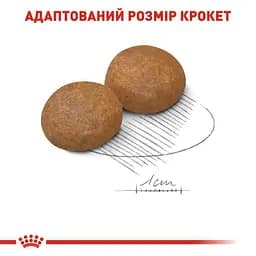 Сухий корм для собак великих порід старше 5 років Royal Canin Maxi Adult 5+, 4 кг (3008040) - мініатюра 3