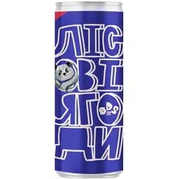 Комбуча Foundation ODS Лесная ягода 0.33 мл ж/б