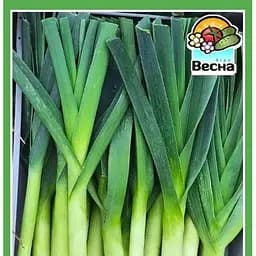 Насіння Весна Цибуля-порей 0.5 г (10337)