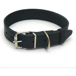 Нашийник для собак Zoo-hunt Весна шкіряний чорний 1,4/23-28 см