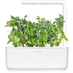 Змінний картридж Click & Grow Smart Garden Карликовий горошок, 3 капсули (8998) - мініатюра 5
