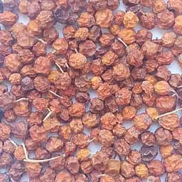 100 г рябина красноплодная плоды сушеные - свежий урожай