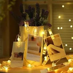 Гирлянда на прищепках Xmas 20 Led Copper Bottle Warm White