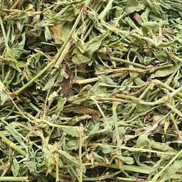 100 г спорыш/горец птичий трава сушеная - свежий урожай