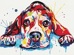 Картина за номерами на підрамнику Brushme Веселковий улюбленець