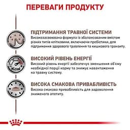 Консервований дієтичний корм для дорослих собак Royal Canin Gastrointestinal при порушенні травлення, 400 г (40380041) - мініатюра 2