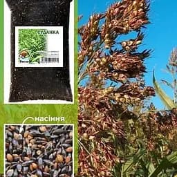 Суданка ТМ "Весна"  1 КГ (13703)