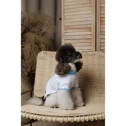 Футболка Pet Fashion Polo для собак XS2 - мініатюра 5