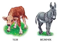 22 картинки. Свійські тварини - - мініатюра 4