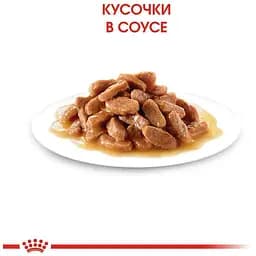 Набір вологого корму для кошенят Royal Canin Kitten Instinctive шматочки в желе 1.02 кг (12 шт. х 85 г) - мініатюра 3