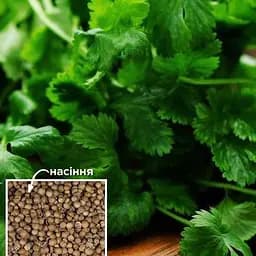 Коріандр "Король ринку" ТМ "Весна"  20г (49270)