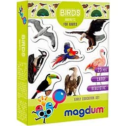Набор магнитов Magdum Птицы ML4031-30 EN