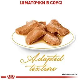 Набір вологого корму для дорослих кішок породи мейн-кун Royal Canin Maine Coon Adult шматочки в соусі 1.02 кг (12 шт. х 85 г) - мініатюра 3
