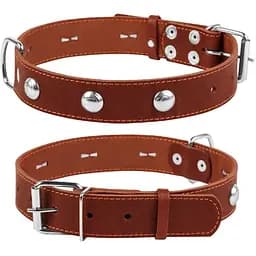 Нашийник для собак Collar одинарний з прикрасою (2002716000006)