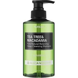 Шампунь балансуючий "Акація Морінга" 500 мл Kundal Tea Tree & Macadamia Deep Cleansing Shampoo Acacia Moringa