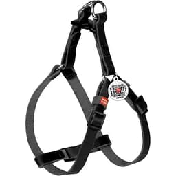 Шлея для собак мини-пород и котов Waudog Classic, кожаная, с QR паспортом, пластиковый фастекс, XS, 28-40х1 см, черная