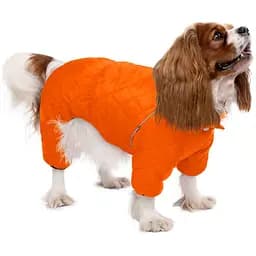 Комбінезон для собак Barksi Textile розмір М помаранчевий