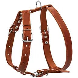 Шлея Collar одинарна для середніх собак (ширина 25мм, А:49-68см, В:68-80см) коричневий - мініатюра 2