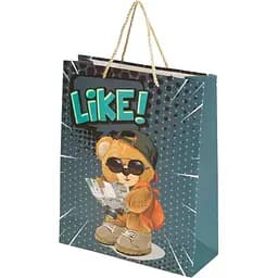 Пакет подарунковий Line YY050911-1 M Різнокольоровий