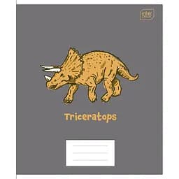 Набор тетрадей ученических Interdruk Premium Dino А5 в клетку 12 листов 4 шт. (354426-4)