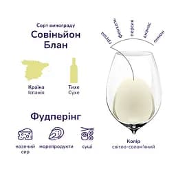 Уцінка. Вино Don Simon Sauvignon Blanc, біле, сухе, 12,5%, 0,75 л  - мініатюра 6
