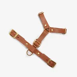 Шкіряна анатомічна шлея для собак "Classy" XL руда (обхват грудини 74-89 см) - мініатюра 2