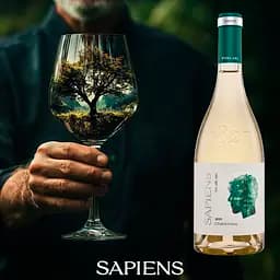 Вино Purcari Sapiens Chardonnay біле сухе 13.5% 0.75 л - мініатюра 2