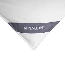 Ковдра Penelope - Gold 13,5 tog пухова 240x260 Super King size - мініатюра 8