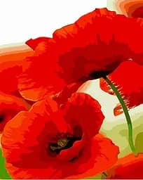 Набор для росписи по номерам Маки, Strateg, 30x40 см, SS6805