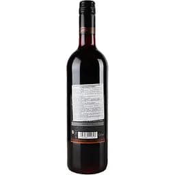Вино Sun Gate Cabernet Sauvignon 2021 червоне сухе 12.5%, 0.75 л (35815) - мініатюра 4