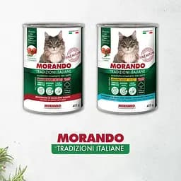 Вологий корм для котів Morando Tradizioni шматочки у соусі з яловичиною 405 г - мініатюра 5