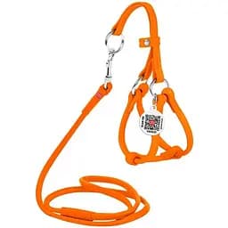 Шлей с поводком для собак Waudog Glamour кожаный с QR паспортом, круглый, оранжевый