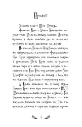 Відьми Шик-Пшика. Магія в ефірі. Книга 3 - Шибель Паундер - мініатюра 2