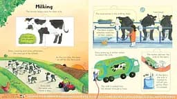 Look Inside a Farm - Кеті Дейнс - мініатюра 4