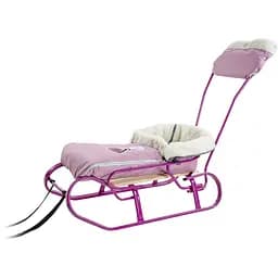 Комплект Vitan Дівчинка: санки + ручка + спинка + чохол (2130027)